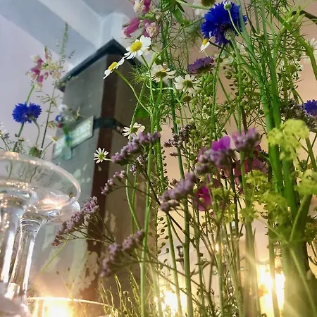 Cafe Nobis Hotel Münster